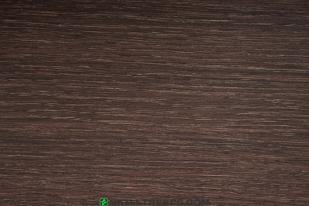 图片[9]-Textured Wooden Background-collection（387660）-技能树